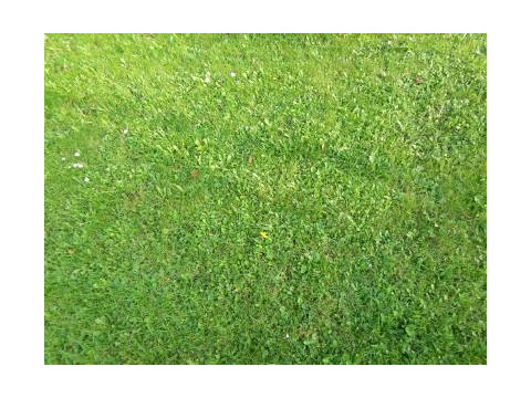 Wohngrundstück kaufen in Selfkant, 1.500 m² Grundstück