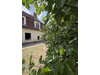 Einfamilienhaus kaufen in Herzberg (Elster), mit Garage, 930 m² Grundstück, 85,67 m² Wohnfläche, 6 Zimmer