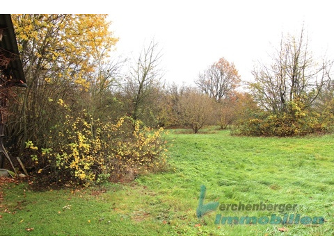 Garten.jpg