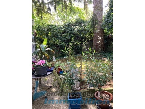 Garten.jpg (2)