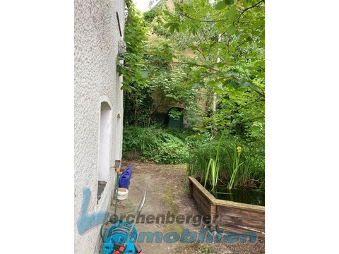 Garten.jpg (2)