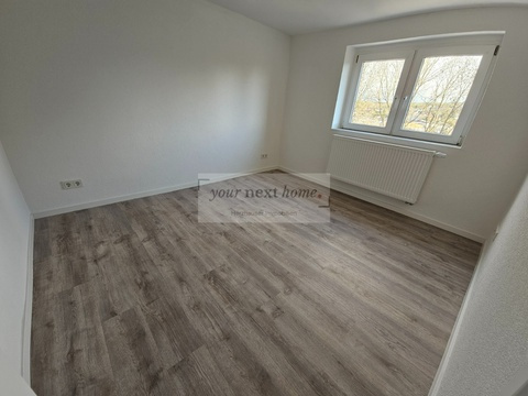 Zimmer DG