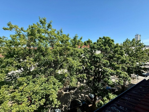 Ausblick Küche Kulturfinger