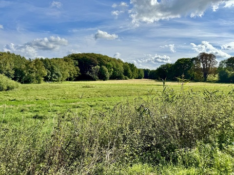 Fläche zur Pacht
