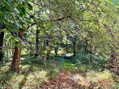 Umgebung