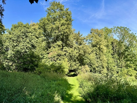 Umgebung
