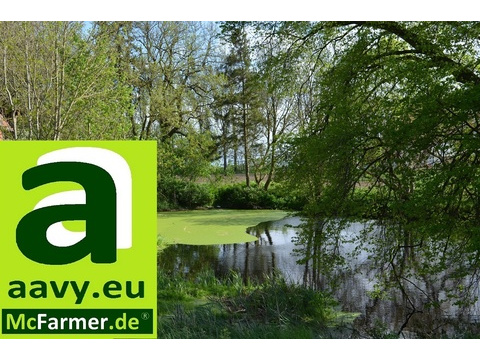 Teich und Fischwirtschaft kaufen in Marlow