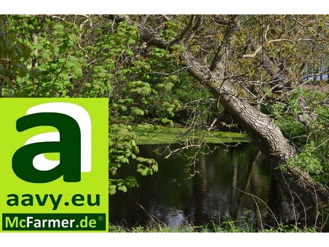 Blick auf den Teich