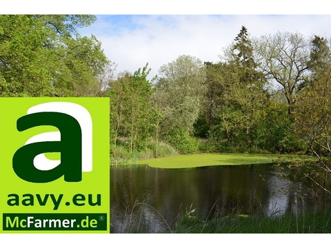 Teich und Fischwirtschaft kaufen in Marlow