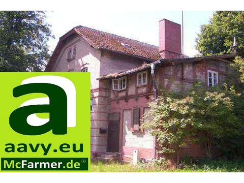 Gastronomie und Wohnung mieten, pachten in Plau am See