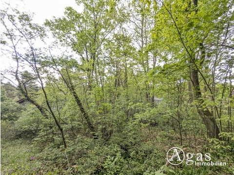 Wohngrundstück kaufen in Schwielowsee, 1.329 m² Grundstück