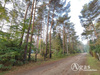 Wohngrundstück kaufen in Borkheide, 688 m² Grundstück