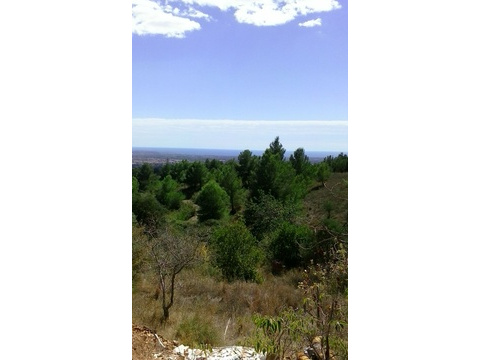 Wohngrundstück kaufen in Castellvell del Camp, 9.446 m² Grundstück