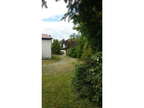 Bild...