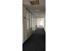 Büro, Praxis, Raum mieten, pachten in Bruchsal, 230 m² Bürofläche, 5 Zimmer