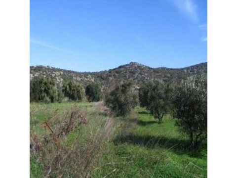 Wohngrundstück kaufen in Agios Nikolaos, 334 m² Grundstück