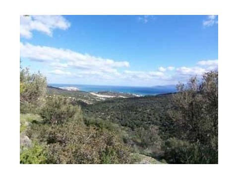 Wohngrundstück kaufen in Agios Nikolaos, 4.200 m² Grundstück