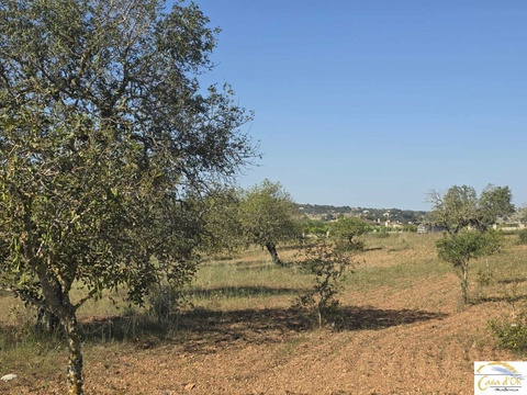 Wohngrundstück kaufen in Sant Llorenç des Cardassar, 14.500 m² Grundstück