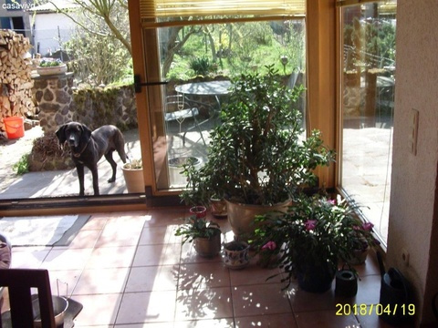 Blick a. Terrasse u. Garten