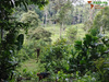 Gemischtes Grundstück kaufen in Provinz Bocas del Toro, 9.262,49 m² Grundstück