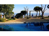 Villa kaufen in Estepona, 5.000 m² Grundstück, 218 m² Wohnfläche, 3 Zimmer