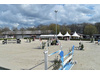 Reiterhof kaufen in Cloppenburg