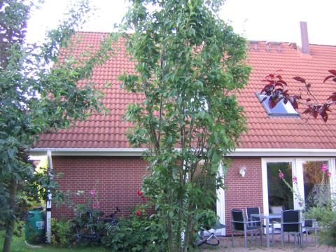 Hausansicht S