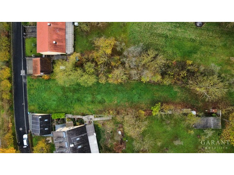dji fly 20241111 124450 740 1731325640675 photo op