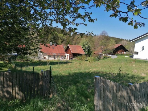 IMG 20250502 101918