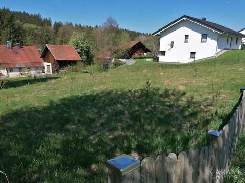 IMG 20250502 101940