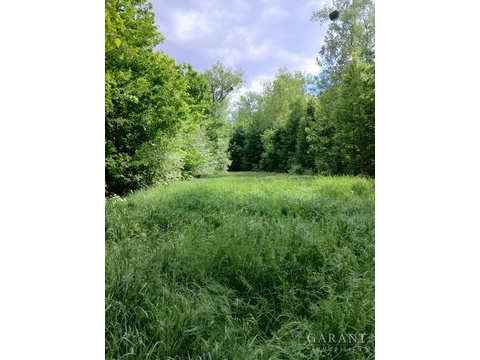 Land Forstwirschaft kaufen in Eichstätt, 14.960 m² Grundstück