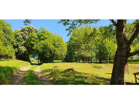 Land Forstwirschaft kaufen in Pfaffenhofen an der Ilm, 5.243 m² Grundstück