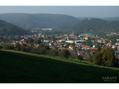 Wohngrundstück kaufen in Amorbach, 4.080 m² Grundstück
