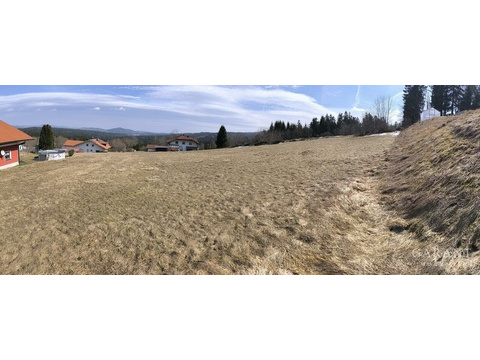 Wohngrundstück kaufen in Philippsreut, 1.317 m² Grundstück