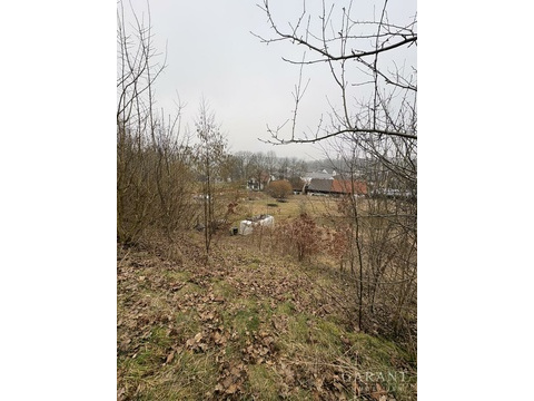 Wohngrundstück kaufen in Friedberg, 4.246 m² Grundstück