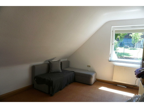 Zimmer DG