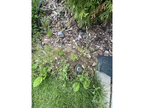 Gartenbewässerung