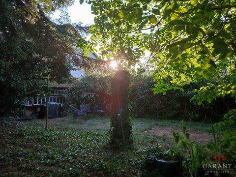 Garten (3)