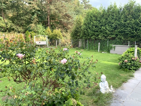 im Grünen