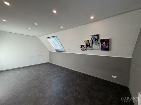 Zimmer OG2
