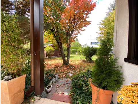 Gartenimpression