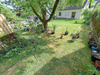 Mehrfamilienhaus kaufen in Schorndorf, mit Garage, 504 m² Grundstück, 202 m² Wohnfläche, 10 Zimmer