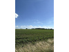 Land Forstwirschaft kaufen in Aichach, 18.780 m² Grundstück