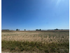 Land Forstwirschaft kaufen in Aichach, 21.532 m² Grundstück