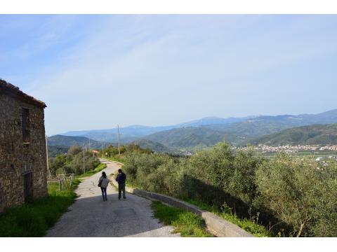 Gemischtes Grundstück kaufen in Stella Cilento, 27.000 m² Grundstück