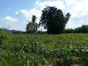 Gemischtes Grundstück kaufen in Pattaya, 1.600 m² Grundstück