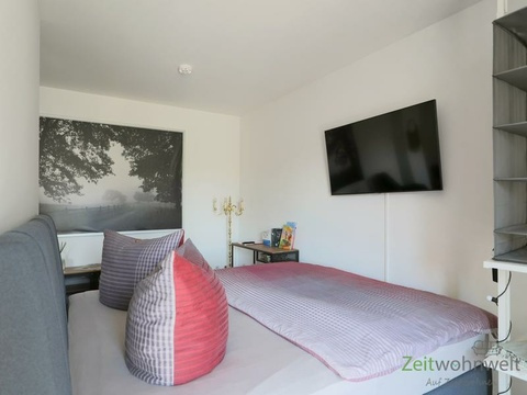 Bett und TV hinter dem Raumteiler