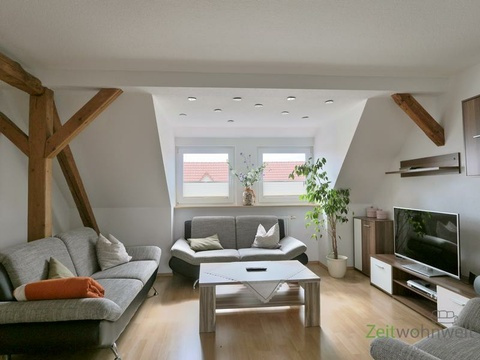 zwei Sofas, Sessel und TV