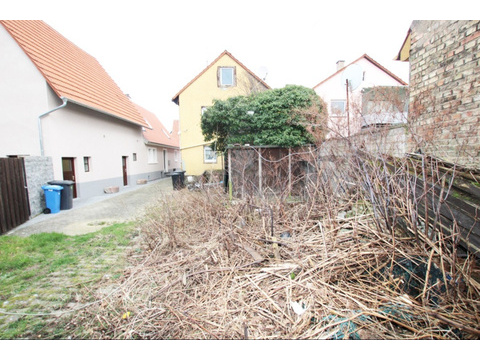 Bild...