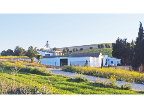 Haus kaufen in Bornos, 520.000 m² Grundstück, 157 m² Wohnfläche, 5 Zimmer